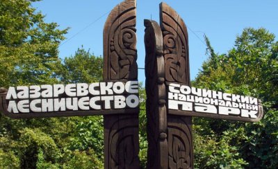 Сочинский национальный парк с животными: где увидеть дикую природу Сочи без толп туристов