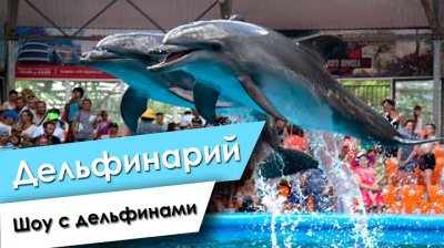 Дельфинарий